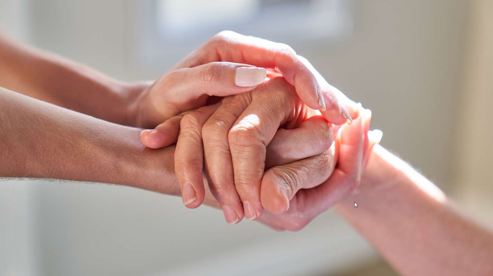 2026-05-24 21_07_21-shutterstock_1996836353.jpg_compressed